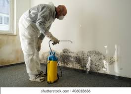 Mold Documentation for Insurance Claims in Jacksonville, OR